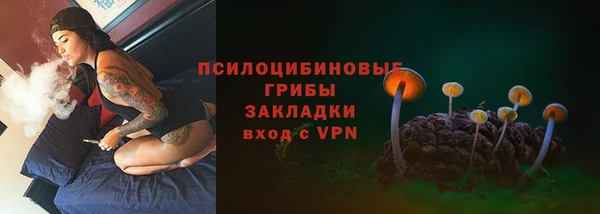 PSILOCYBIN Верхнеуральск