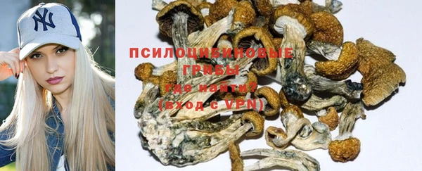 бутират Верея