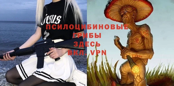 PSILOCYBIN Верхнеуральск