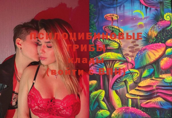 PSILOCYBIN Верхнеуральск